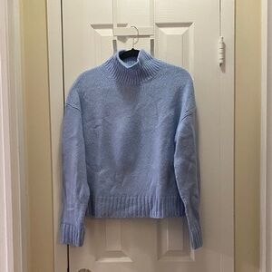 Everlane CloudSoft  Oversized Turtleneck Sweater